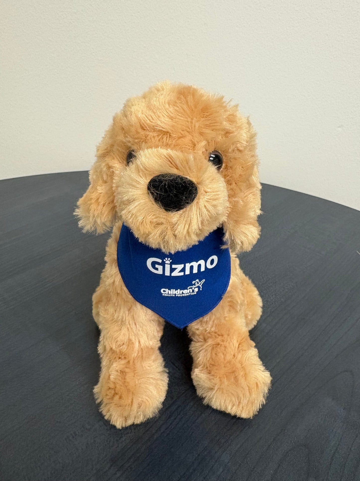 Gizmo Stuffie